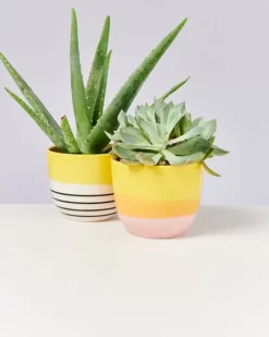 Discount Flores Ubertopf Gelb Schwarz Gestreift Ubertopfe